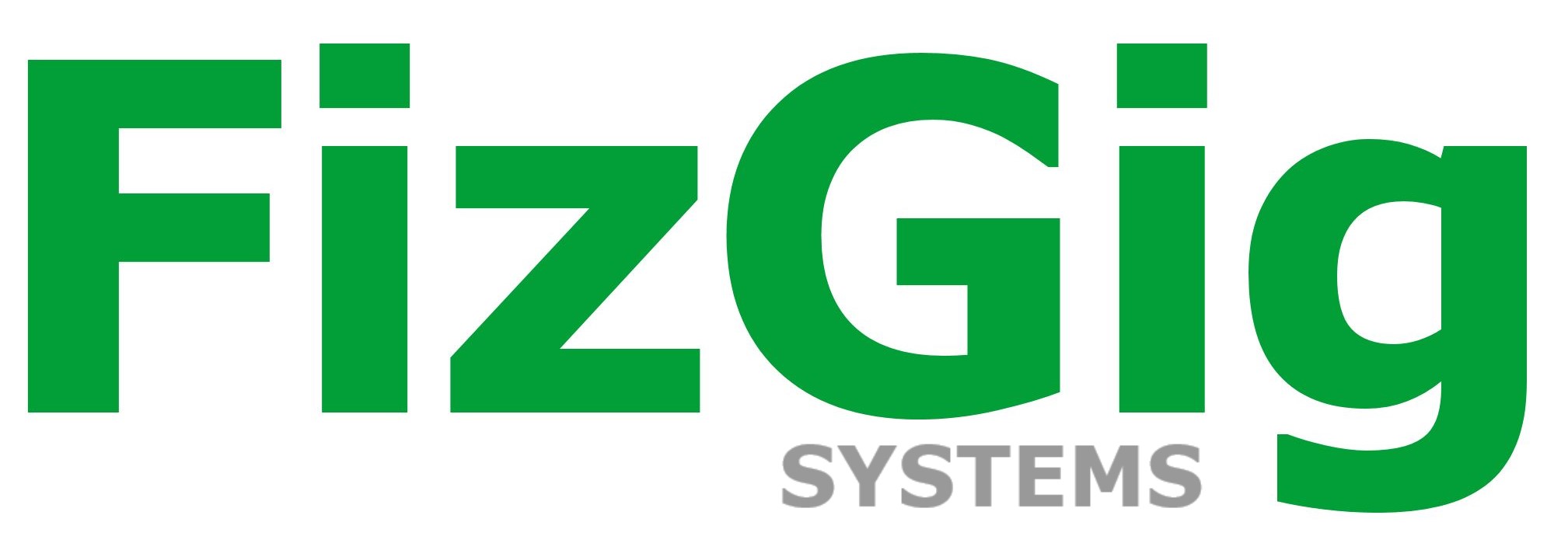 FizGig Systems - FG300